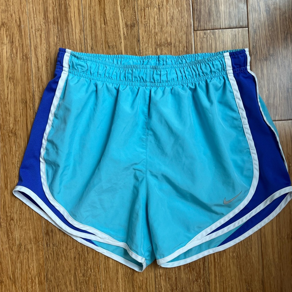 Nike Aqua and Royal Blue Athletic Shorts